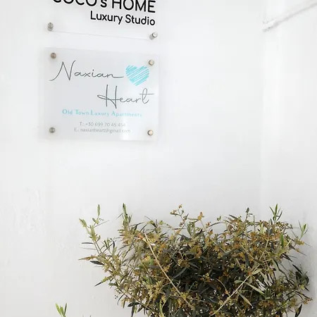 Cocoshome Lägenhet Naxos City